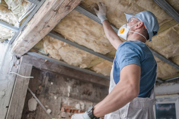 Best Insulation Installation Services in Avilla, AR