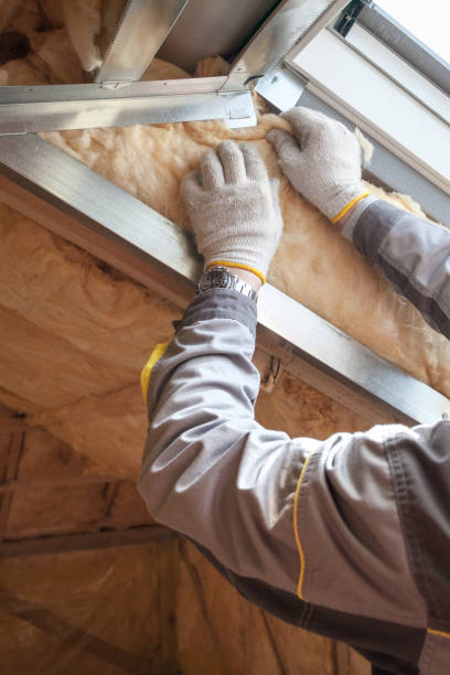 Best Commercial Insulation in Avilla, AR