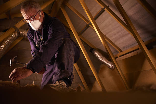 Best Insulation for Specific Applications in Avilla, AR